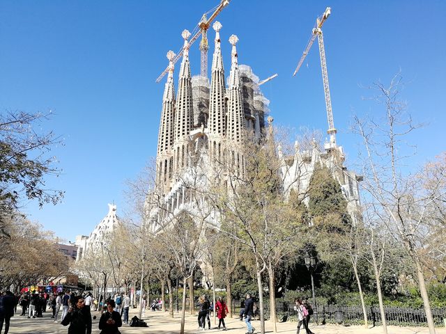 Готическая Барселона: как попасть, какие документы нужно оформить, чем заняться туристу в городе