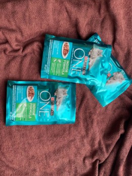 Влажный корм Purina One Indoor Formula – кот будет есть с удовольствием, порадует энергичностью, нежностью и отличным самочувствием