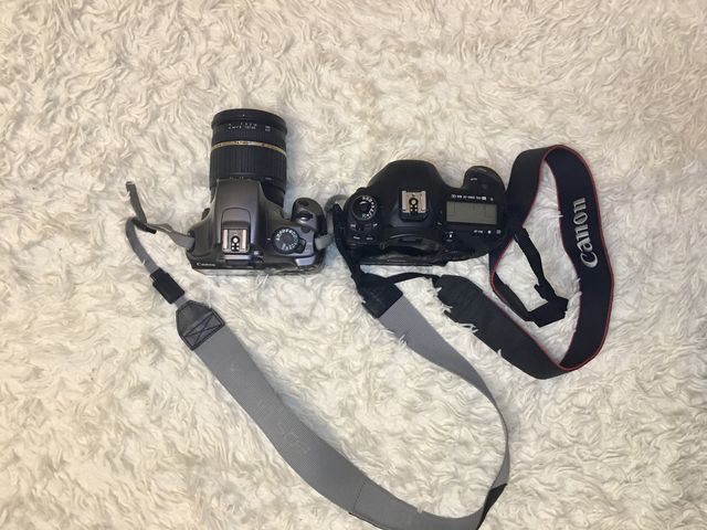 Обзор фотоаппарата Canon 5D MARK III